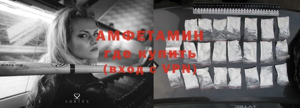 СК Алексин