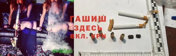 стаф Абаза
