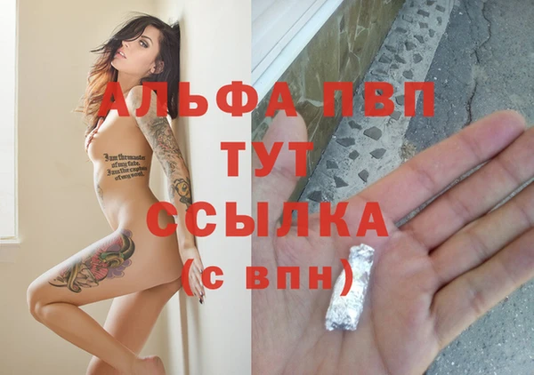 стаф Абаза
