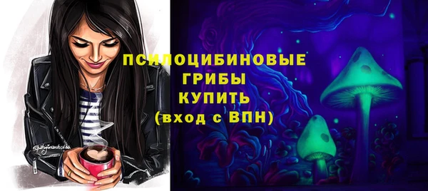 СК Алексин